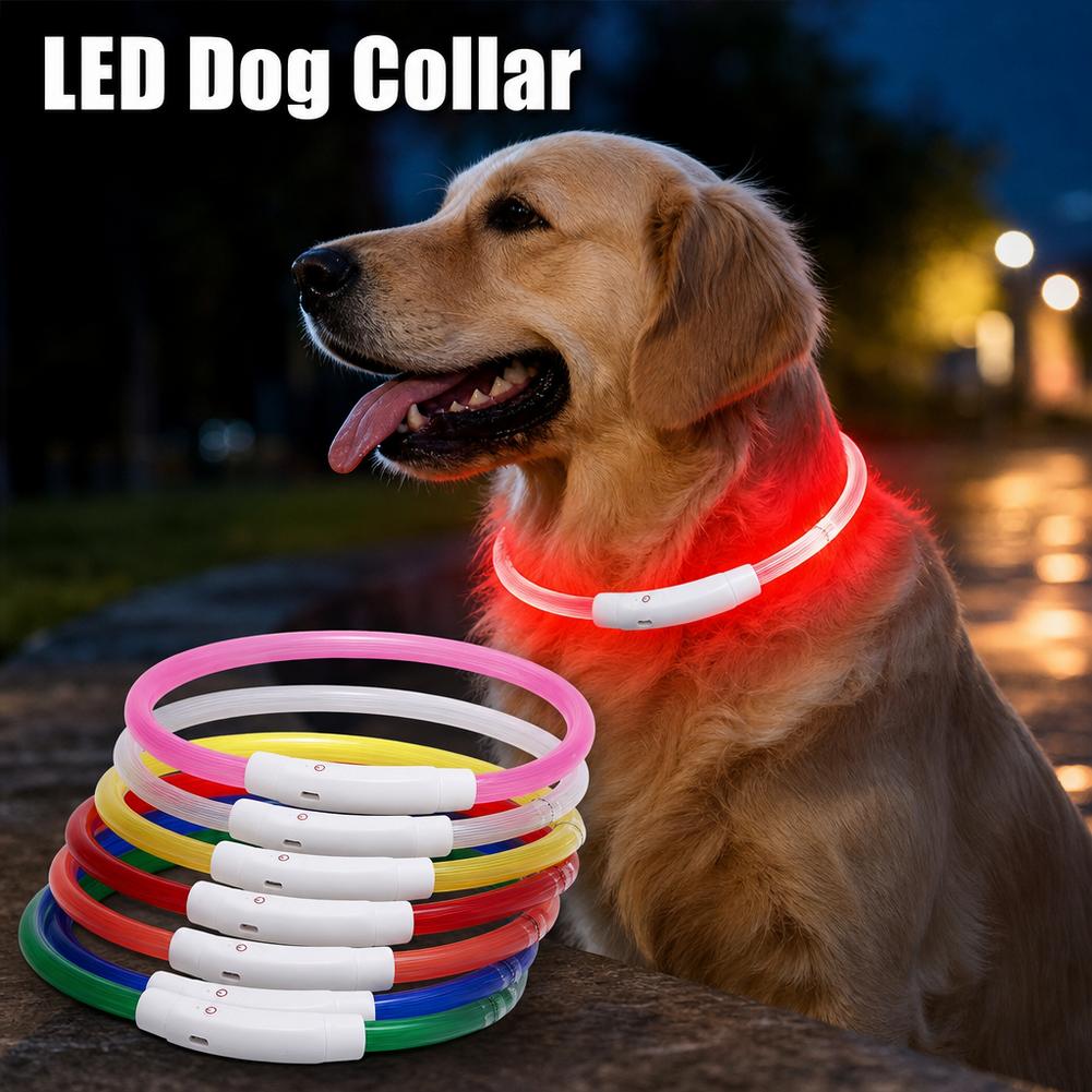 Tech Dog Accessories - Collier lumineux pour chien, collier LED