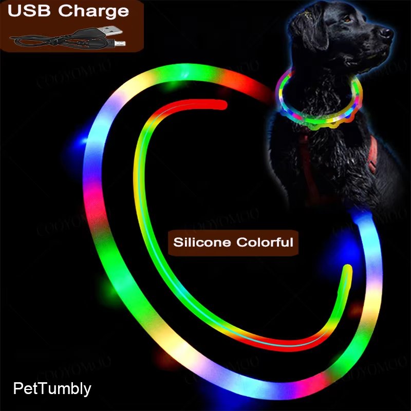 Tech Dog Accessories - Collier de Charge Luminou pour chien,