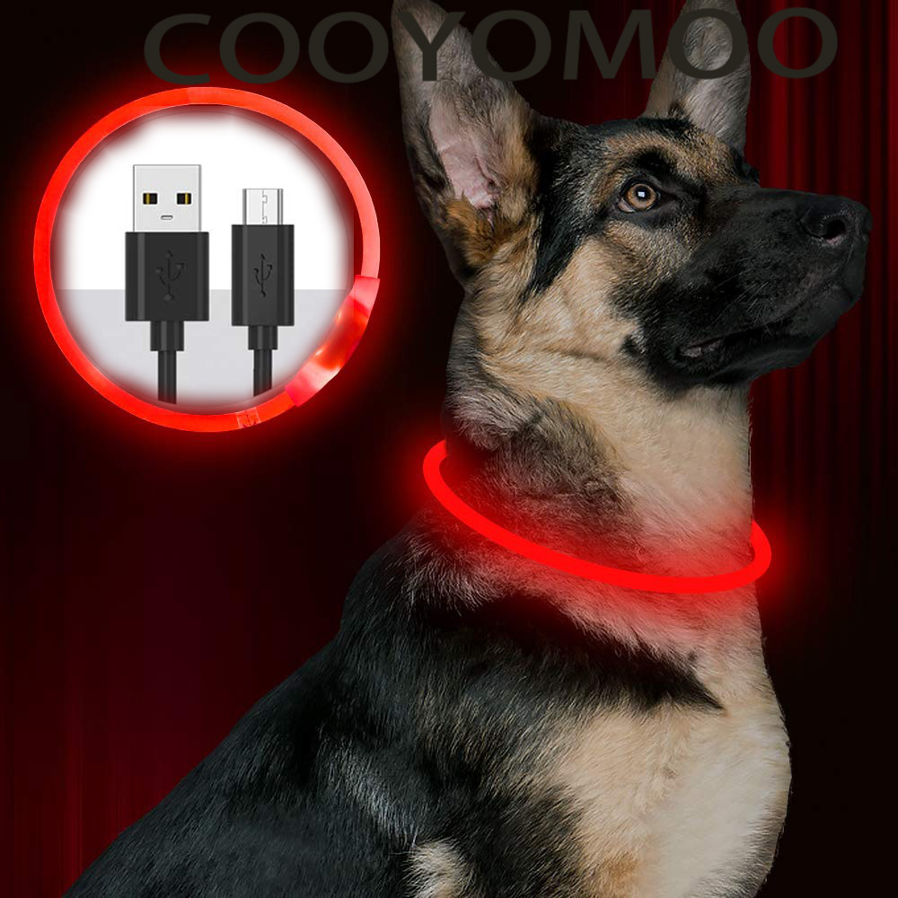 Tech Dog Accessories - Collier pour chien LED en Silicone,