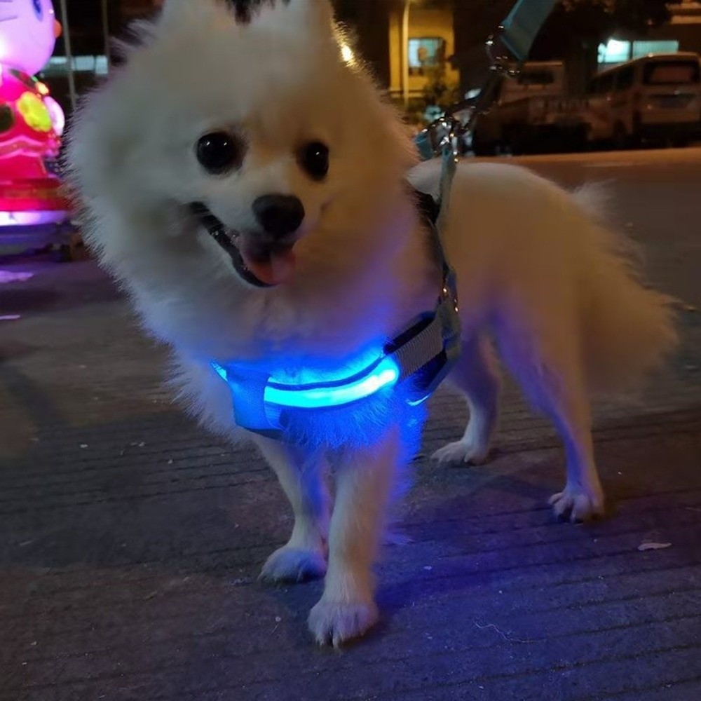 Tech Dog Accessories - Harnais LED lumineux respirant pour chien,