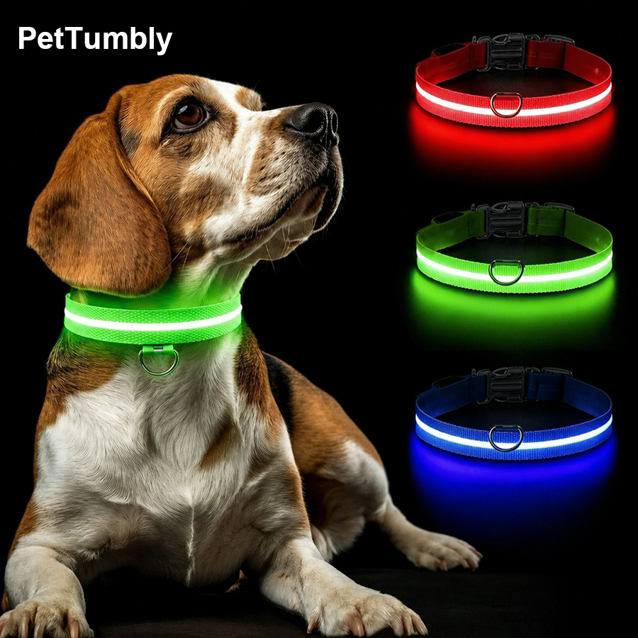 Tech Dog Accessories - Collier lumineux pour chien à 3