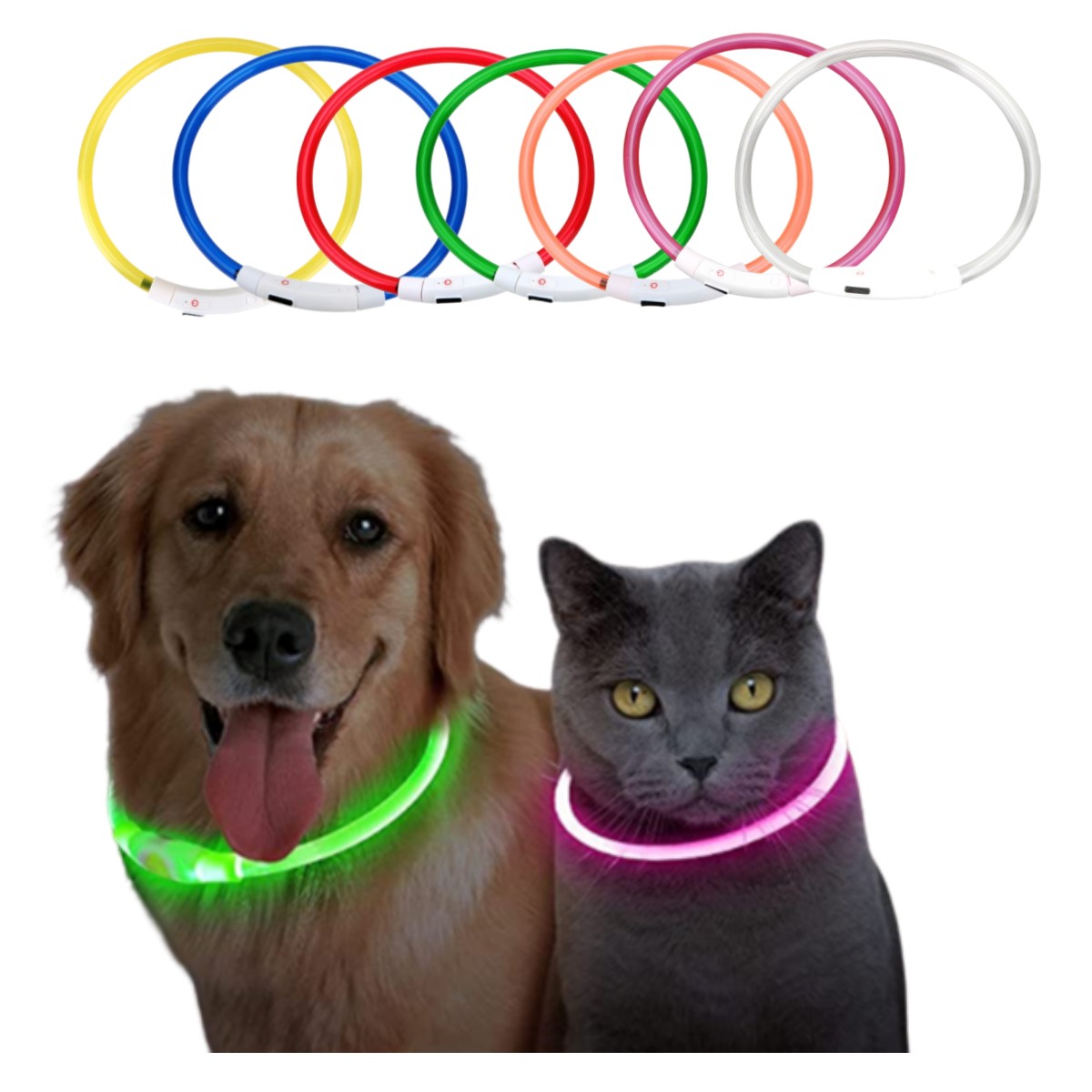Tech Dog Accessories - Collier de chien à lumière LED,
