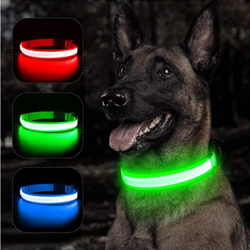 Tech Dog Accessories - Collier lumineux rechargeable par USB, collier
