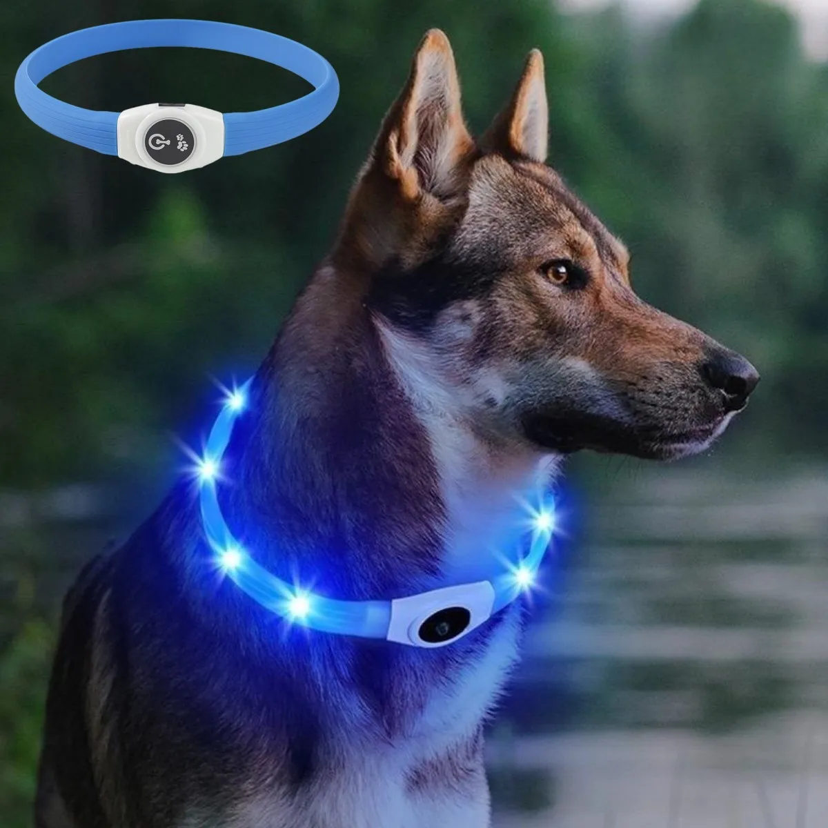 Tech Dog Accessories - Collier lumineux Led en PVC pour
