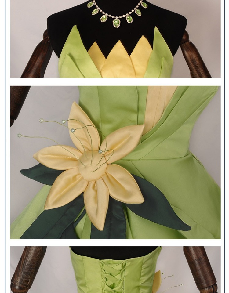 Robe de princesse Tiana, Costu - Tech Accessories For Men avis et prix
