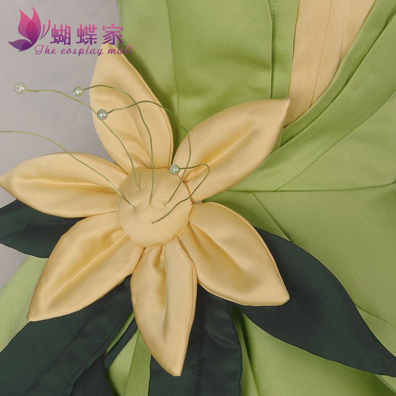 Robe de princesse Tiana, Costu - Tech Accessories For Men avis et prix