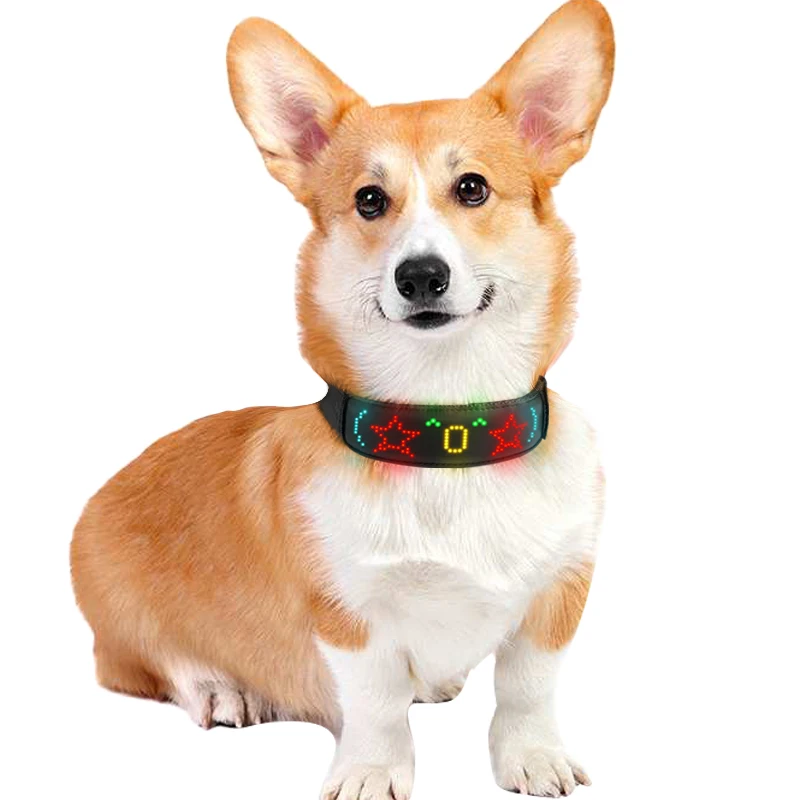Colliers LED multicolores pour - Tech Dog Accessories avis et prix