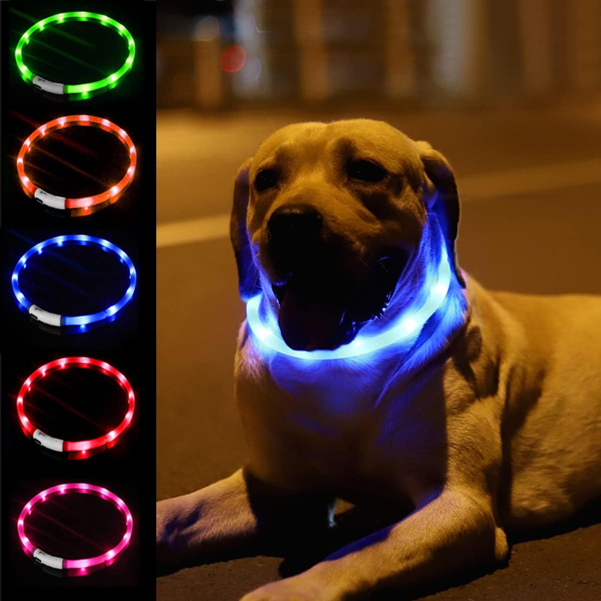 Collier pour chien LED en sili - Tech Dog Accessories avis et prix