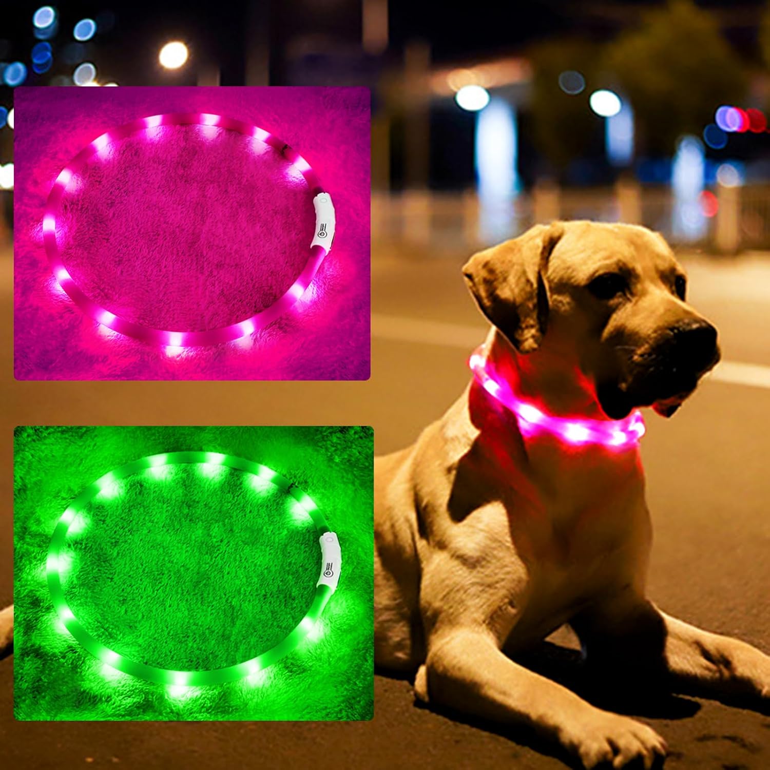 Collier pour chien LED en sili - Tech Dog Accessories avis et prix