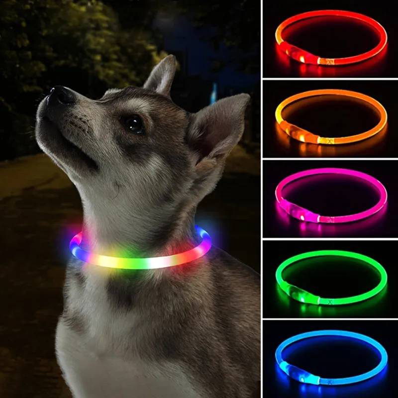 Collier de Charge Luminou pour - Tech Dog Accessories avis et prix