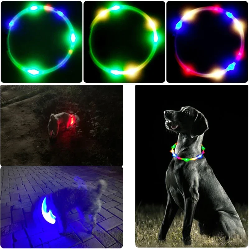 Collier de Charge Luminou pour - Tech Dog Accessories avis et prix