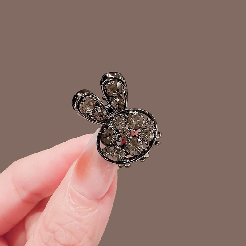 Haut de gamme strass lapin pet - Hi Tech Accessories avis et prix