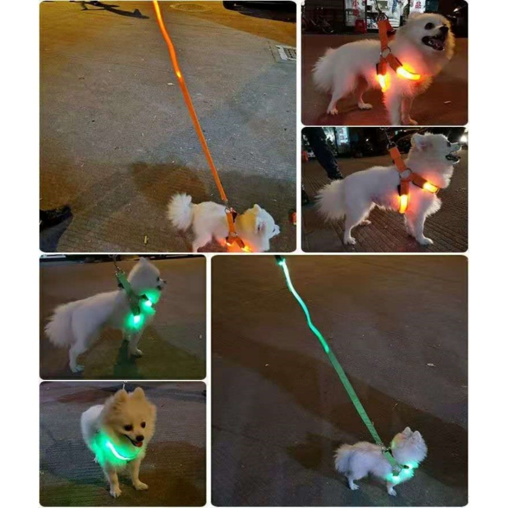 Harnais LED lumineux respirant - Tech Dog Accessories avis et prix