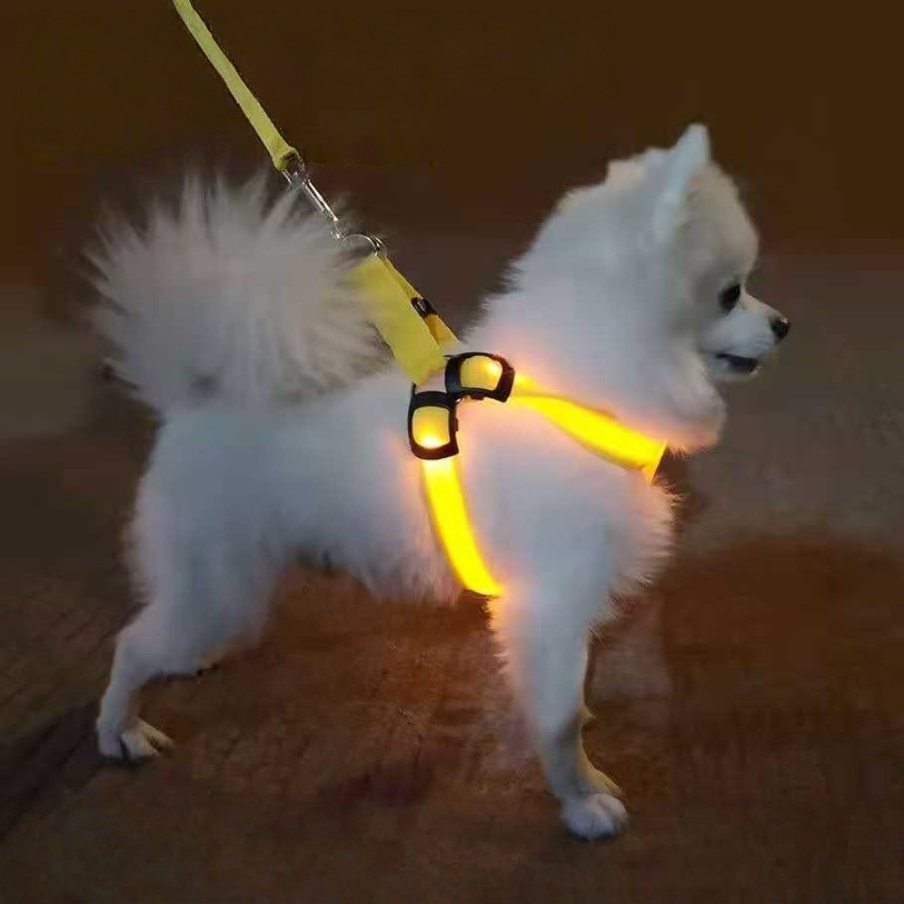 Harnais LED lumineux respirant - Tech Dog Accessories avis et prix