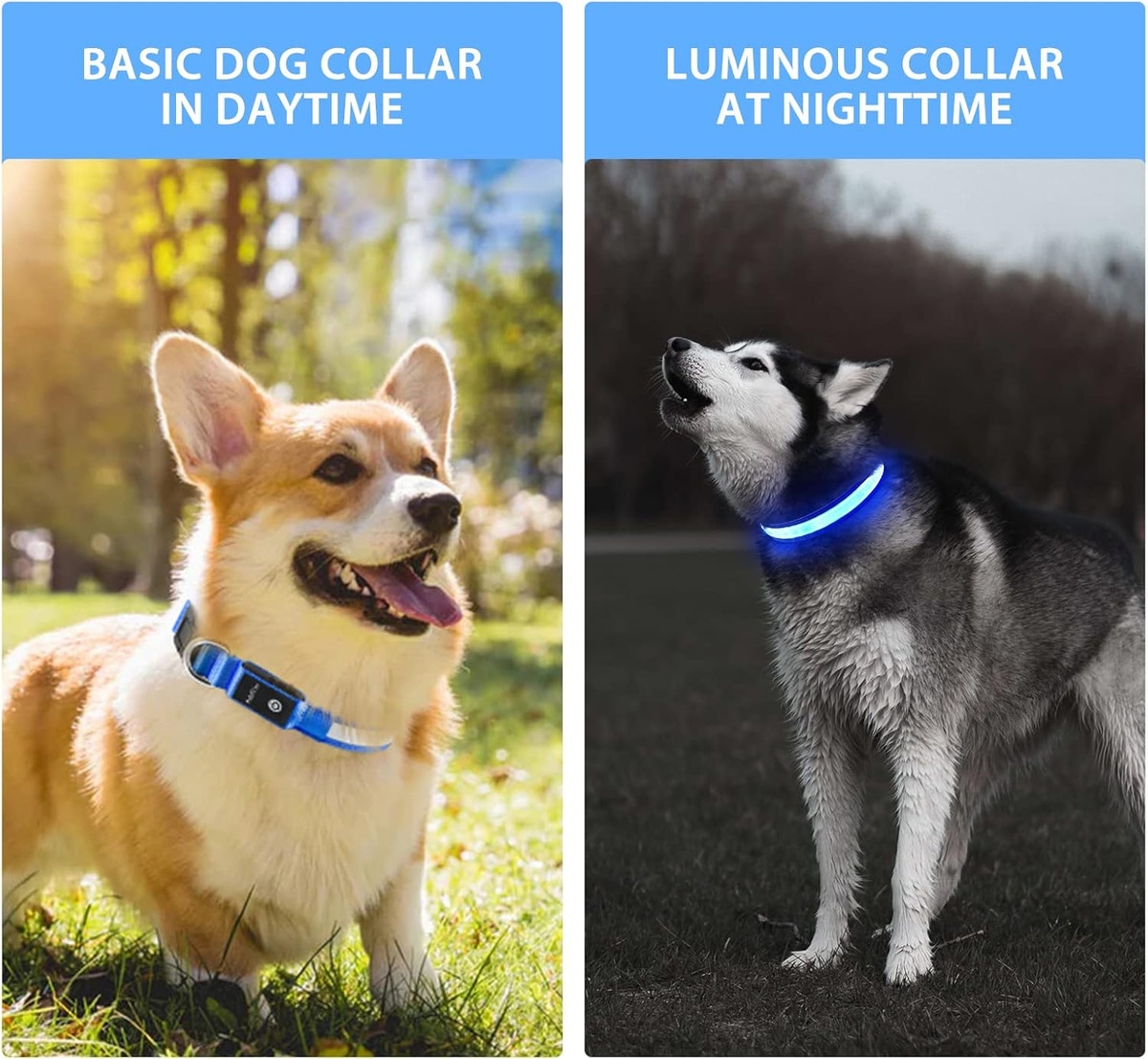 Colliers lumineux LED USB pour - Tech Dog Accessories avis et prix