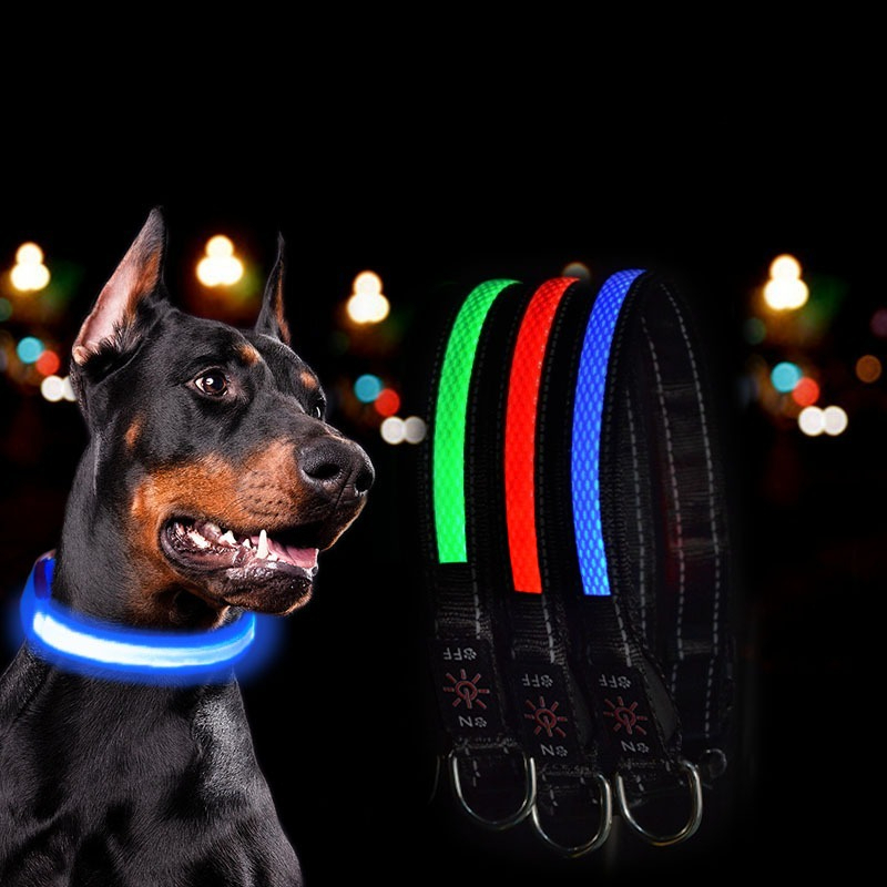 Colliers lumineux LED USB pour - Tech Dog Accessories avis et prix
