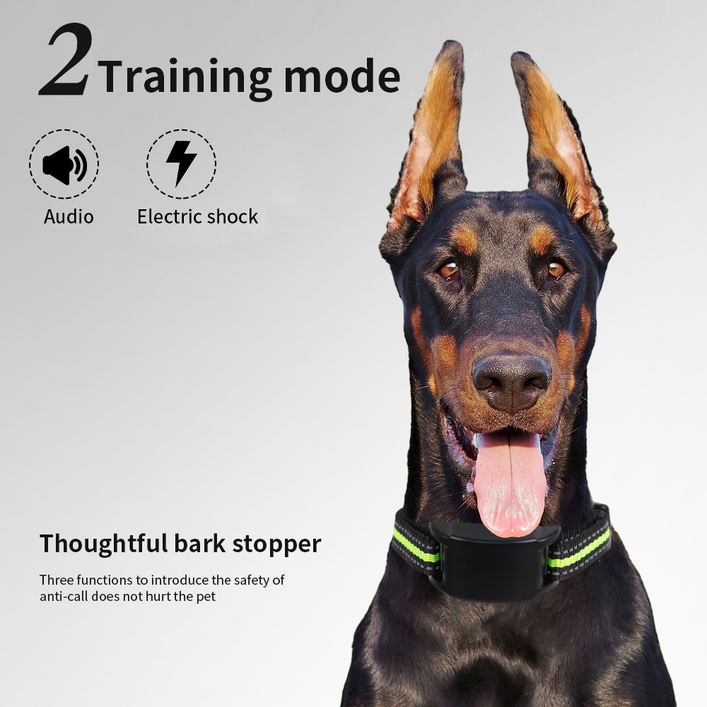 Collier anti-aboiement pour ch - Tech Dog Accessories avis et prix