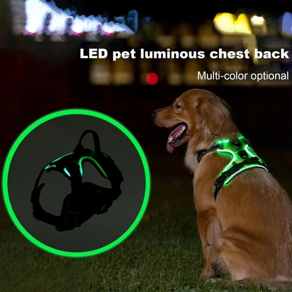 Harnais pour chien lumineux du - Tech Dog Accessories avis et prix
