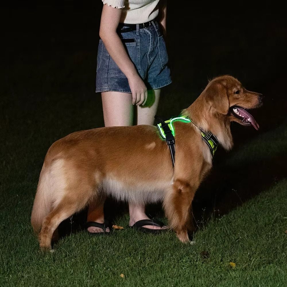 Harnais pour chien lumineux du - Tech Dog Accessories avis et prix