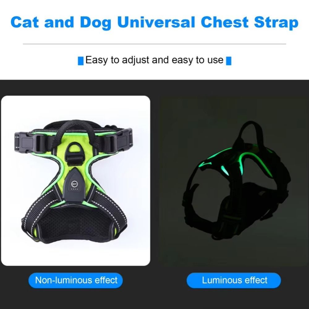 Harnais pour chien lumineux du - Tech Dog Accessories avis et prix