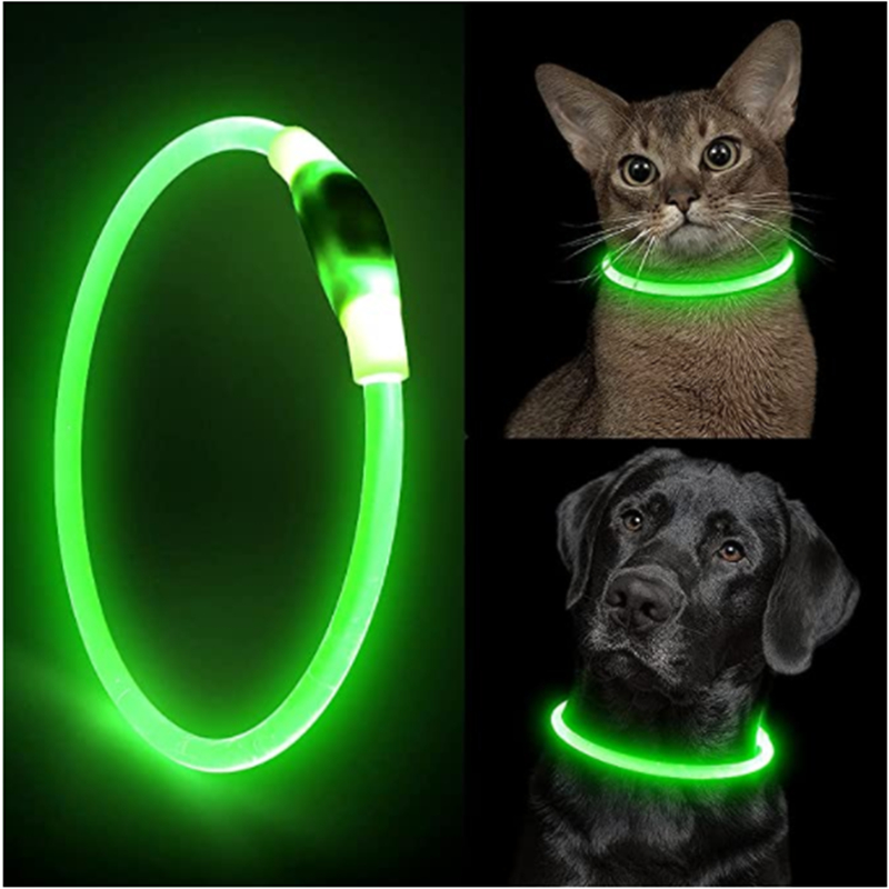 Collier de chien à lumière LED - Tech Dog Accessories avis et prix