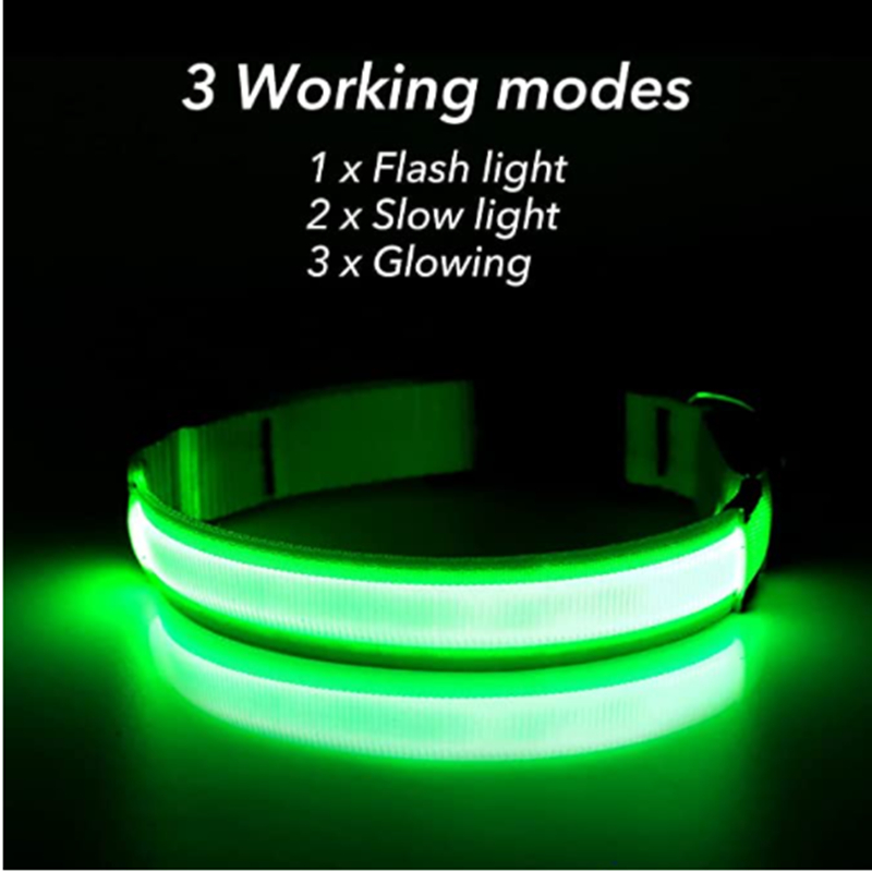 Collier lumineux rechargeable  - Tech Dog Accessories avis et prix