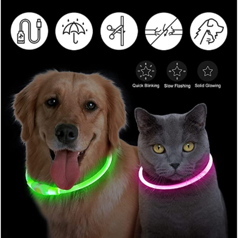 Collier lumineux rechargeable  - Tech Dog Accessories avis et prix