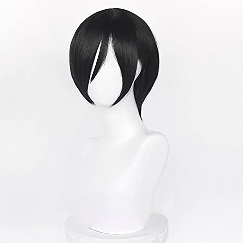 Perruque de Cosplay Noire Cour - Tech Accessories For Men avis et prix