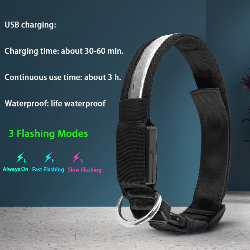 ID gravé LED collier de chien  - Tech Dog Accessories avis et prix