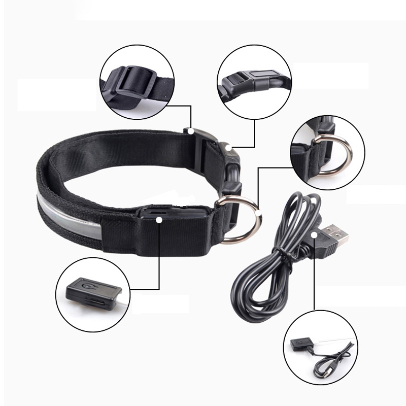 ID gravé LED collier de chien  - Tech Dog Accessories avis et prix